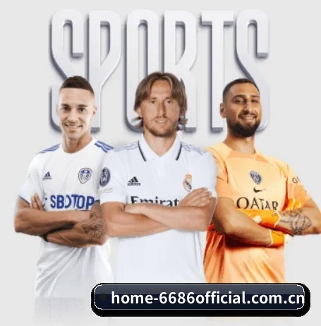 6686体育 APP
